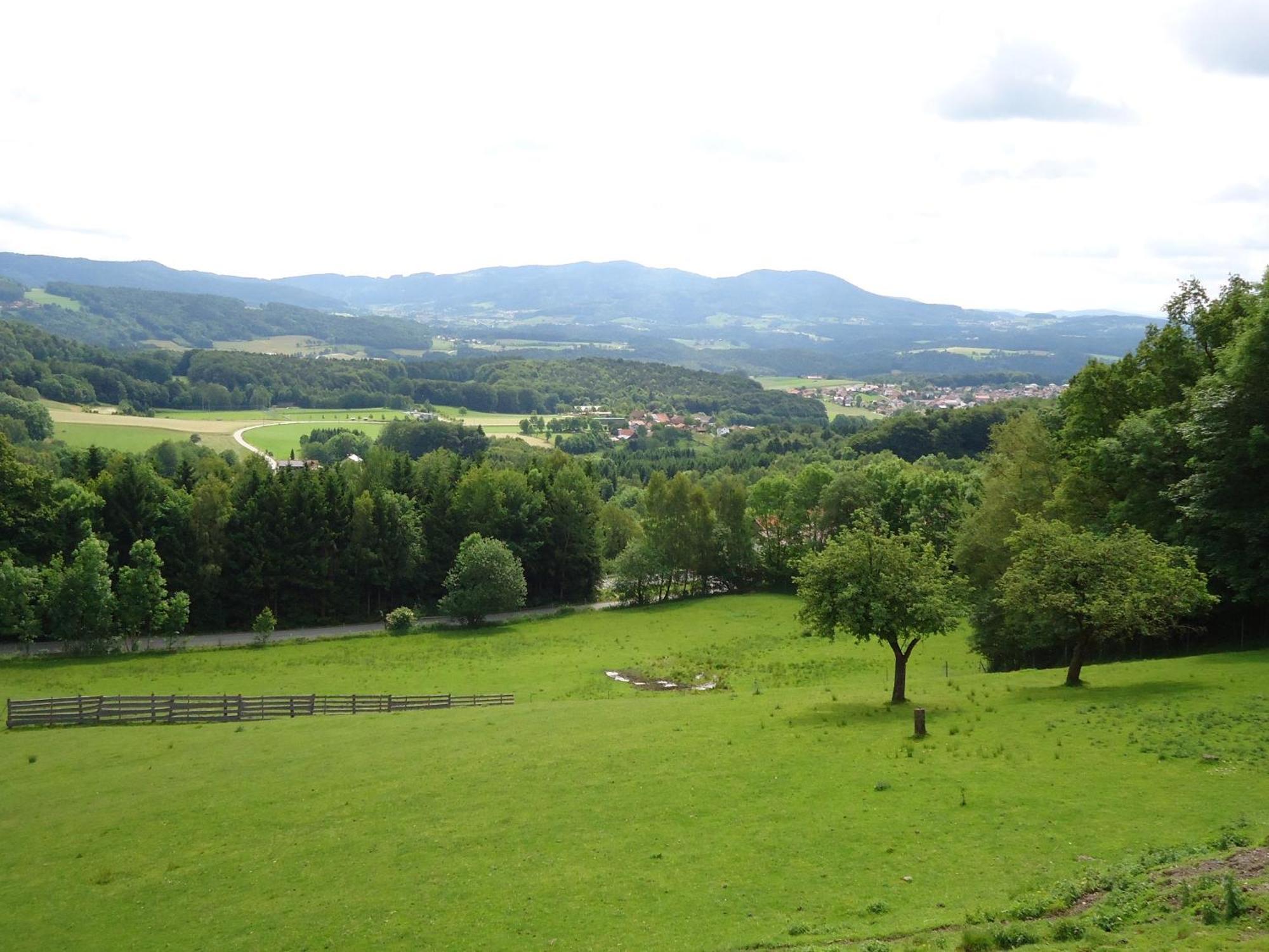 Landhaus Lehnerhof Schaufling Luaran gambar
